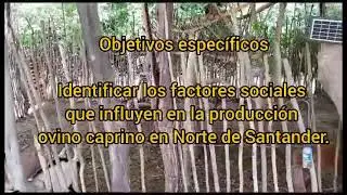 OVINO CAPRICULTURA HACIA UN NORTE SUSTENTABLE
