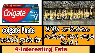 Colgate is Indian Brand or not?(Interesting Facts)