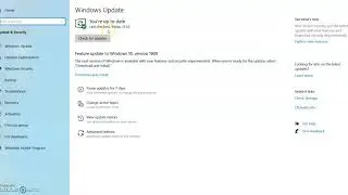 Check for Windows Updates - FCC Analyst