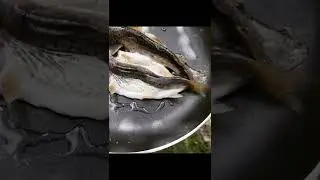 fish cooking at Phandar lake