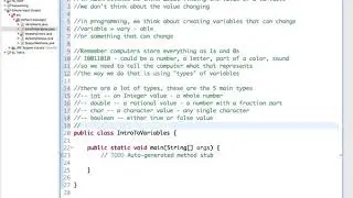 Intro to Variables Notes