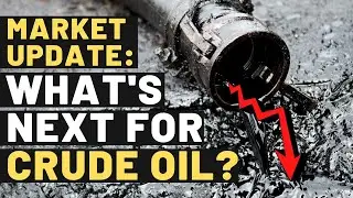 Market Update: Will Crude Oil Prices Recover in 2020?