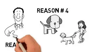 Why Buy Premium Pet Food