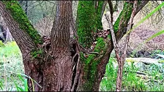 Insel Gr&uuml;n 5
