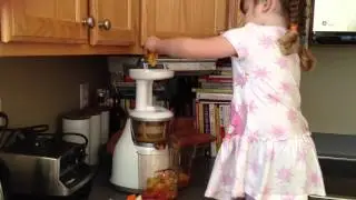 Omega Juicer VRT330 in Action
