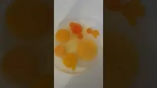 3 duck eggs one chicken egg 2 quail eggs one goose egg I wish there was ostrich egg.eat one Ghana