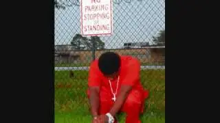LIL'PHAT-GOIN WILD