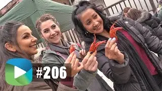 Calaveras Ragin' Cajun Festival | Studio209