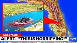 A Florida Wetland Dried Up Overnight &mdash; What Authorities Found Beneath It Was Terrifying