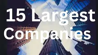 15 Largest Publicly Traded Companies by Marketcap