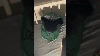 Gucci Caps #cnfans