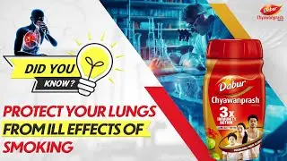 Dabur Chyawanprash, A Protective Agent for Smokers |Geno-Protective agent | Research