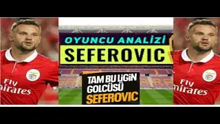hasris seferovic benfica