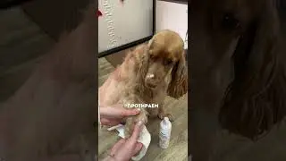 Знаете такой лайфхак?👇 Пенка WB: #722416778 которая не требует смывания🫧