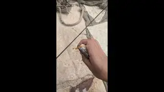 Light Rock Fishing with SuperContinent Lavra