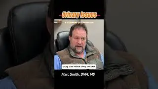 Does Dry Cat Food Cause UTIs? By Marc Smith, DVM, MS