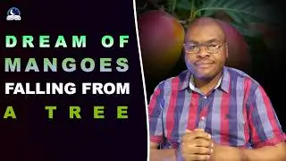 Dreams About Mangoes Falling From A Tree II Evangelist Joshua Ministries