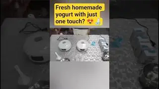 Smart Yogurt Maker 🍶 | Automatic, Large Capacity & Digital Display | Temu Kitchen Essential 2025