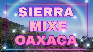 SANTA MARIA ALOTEPEC, MIXE, OAXACA SIERRA MIXE