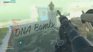 Snipe DNA bomb