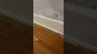 Quarter round removal / install