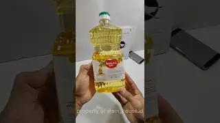 Minyak Kanola