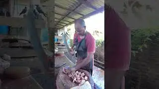 Huge Barracuda Cutting  Skills #shorts