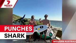 Foil-boarder punches shark after attack at Margaret River | 7NEWS