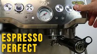 8 Pași Pentru Un Espresso Perfect (Cafizzio)