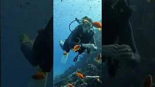 Egypt 2023