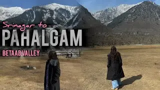 Ep 4 | Day 4 - Srinagar to Pahalgam by Scooty | Sarson ke khet | Betaab Valley | Apple Valley