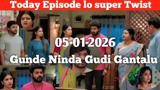 బాలు మీనాలు చింటూ నీ దత్తత ఇవ్వడానికి ఒప్పుకొని ప్రభావతి  😱 | Gunde Ninda Gudi Gantalu
