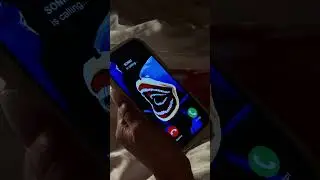 SHIN SONIC позвонил ей..