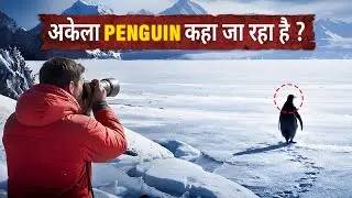 Why This Penguin Walking alone in  Antarctica . Viral Penguin story in Hindi