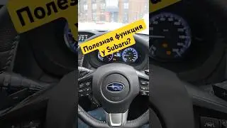 Useful feature in winter? #automobile #irkutsk #subarulevorg