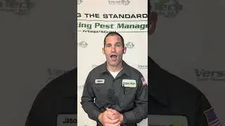 What to Expect from a Professional Rodent Inspection | Versa-Tech PM&reg; Rodent Control