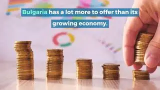 🆕Why move Your Business To Bulgaria | Business opportunities in Bulgaria Honest Video
