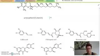 Antioxidanter