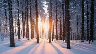 Winter Vibes Reggae Horns Mix