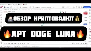 ОБЗОР КРИПТОВАЛЮТ APT DOGE LUNA