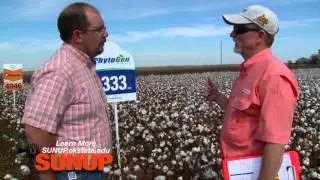 Future of Cotton Varieties (10/31/15)