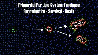 200k partticle Artificial life Time-Lapse - Emergence - Reproduction - Death