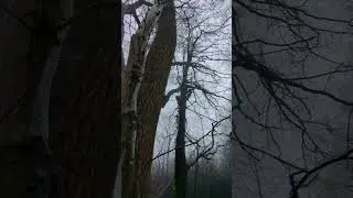 Ein mystischer Ort