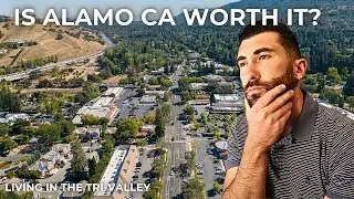 Everything You Need to Know About Alamo CA | Living in Alamo California (2026)