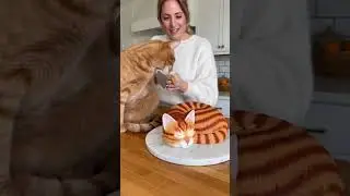 cat prank 🥶  #foryou #cat #viral #fyp #losangeles #france #brazil #usa #challenge #youtubeshorts