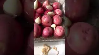 How to get prepare garlic to plant in your spring garden on the homestead