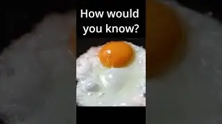 Are Fertilized Eggs REALLY Safe to Eat