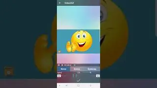 Video2me: How to Convert Video to GIF