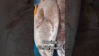 Unbelievable Prices for Fresh Seafood 🐟 on Ecuadorian 🇪🇨 Streets #ecuador #travel #seafood #budget