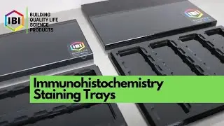 Immunohistochemistry Staining Trays | IBI Scientific